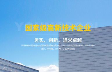 洋浦科技響應(yīng)式網(wǎng)站案例圖片
