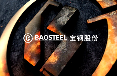 寶鋼股份案例圖片